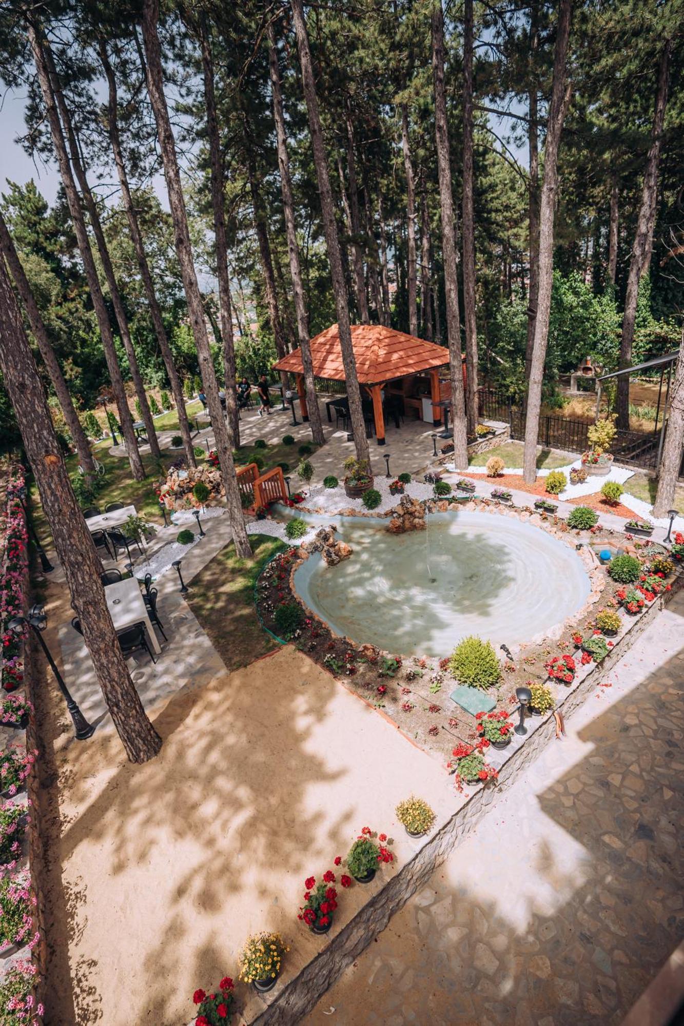 Villa Pupin Gorna Porta 奥赫里德 外观 照片